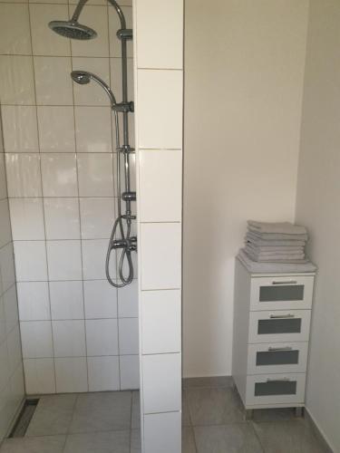 uma casa de banho com um chuveiro e uma parede de azulejos brancos em Ferienwohnung PETER em Rudolstadt