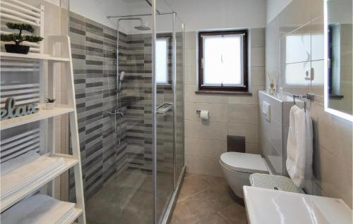 スベットヴィンチェナットにあるAwesome Apartment In Svetvincenat With Wifiのバスルーム(トイレ、ガラス張りのシャワー付)
