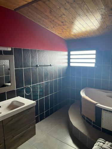 a bathroom with a tub and a sink and a bath tub at Maison de vacances du sud in Saint-Joseph