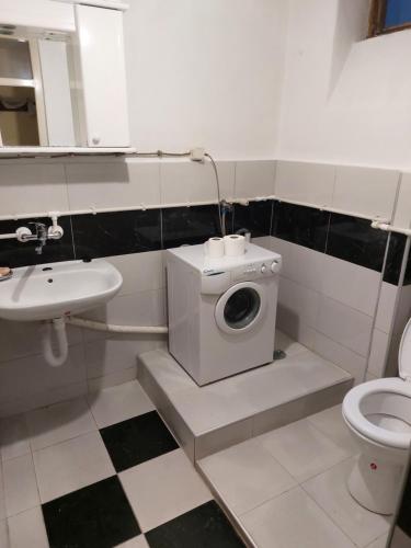 a bathroom with a toilet sink and a washing machine at Privatni smestaj Apartman Ristovic preko puta poste 02 in Mataruška Banja
