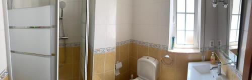 y baño pequeño con aseo y ducha. en Peixinho Magnifique Appartement en Marinha Grande