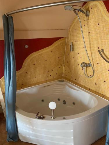 a white bath tub in a bathroom with a shower at An Artist Created it in Middelburg