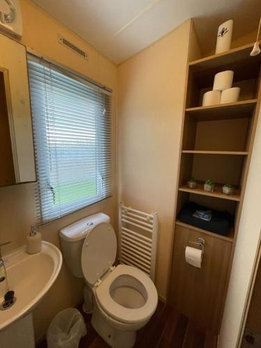 a small bathroom with a toilet and a sink at Golden Palm Resort - Appleby - Coastal Caravan Breaks in Chapel Saint Leonards