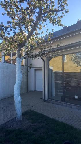 a tree in a yard next to a house at the holiday house in Klaipėda
