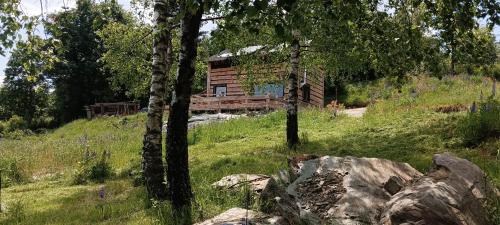 a log cabin in the middle of a field with trees at Enklawa w Porębie in Długopole-Zdrój
