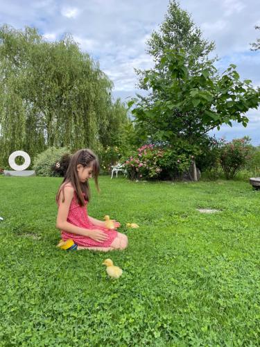 a young girl sitting in the grass playing with toy chickens at Conacul Paloși in Horezu