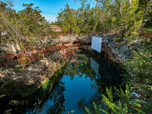 Vida Jungle Resort – Photos 2