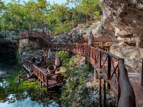 Vida Jungle Resort – Photos 4