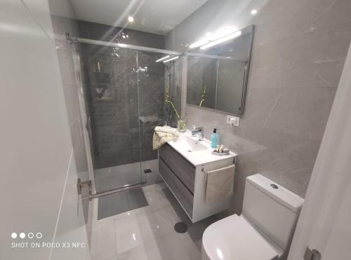 een badkamer met een toilet, een wastafel en een douche bij RondaIVdeluxe in Fuengirola