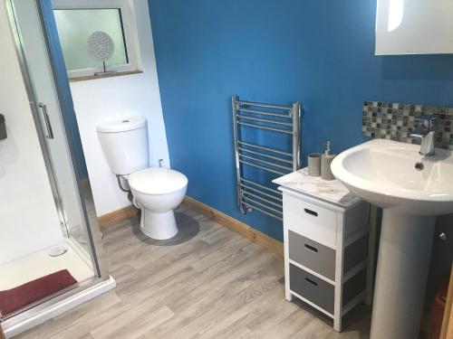 La salle de bains bleue est pourvue de toilettes et d'un lavabo. dans l'établissement Kingfisher Glamping Cabin, à Bodmin
