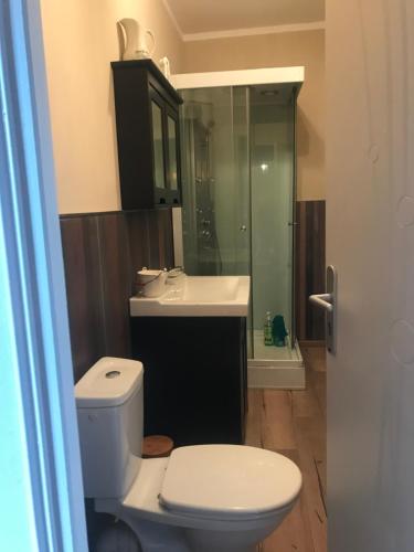 a bathroom with a toilet and a sink and a shower at moon river chambre d'hote in Saint-Junien