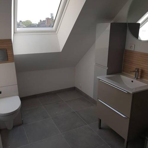 een badkamer met een toilet, een wastafel en een raam bij Appartement Malawo in La Flèche