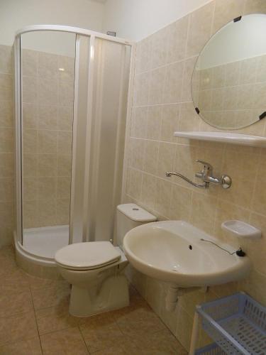 a bathroom with a toilet and a sink and a shower at Chalupa u Lipna in Nová Pec