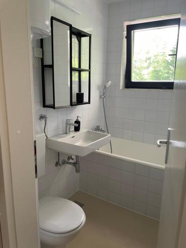ein weißes Bad mit einem WC und einem Waschbecken in der Unterkunft Home near Bohinj lake in Bohinj