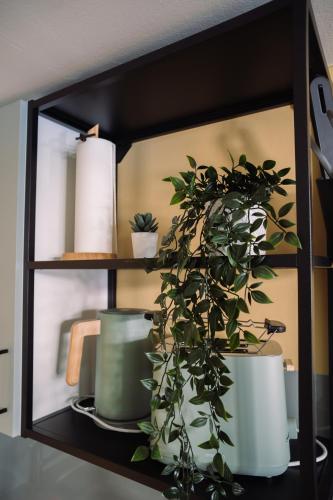 a shelf with a potted plant on it at London Buck in Stralsund