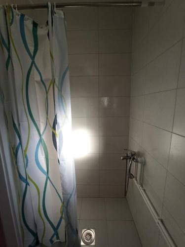 een badkamer met een douche en een douchegordijn bij Apartmani Lovcen in Prolom
