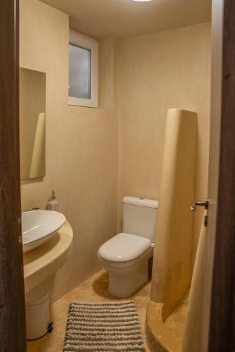 a bathroom with a toilet and a sink at Zoes House in Makrirrákhi