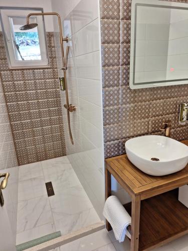 a bathroom with a sink and a shower at Apartman K. & M. KOLUMBIĆ in Sveta Nedelja