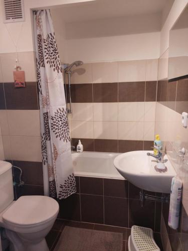 a bathroom with a toilet and a sink and a tub at Apartmán v podhůří Krušných hor in Sokolov
