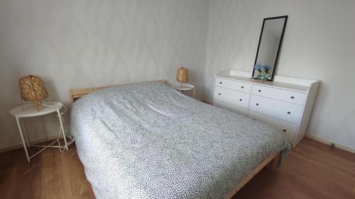 - une chambre avec un lit et une commode avec un miroir dans l'établissement Charmant appartement - 5 mn Zoo de Beauval 4p, à Saint-Aignan
