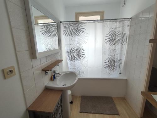 La salle de bains est pourvue d'un lavabo et d'une douche en verre. dans l'établissement Charmant appartement - 5 mn Zoo de Beauval 4p, à Saint-Aignan
