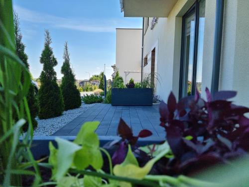a garden with purple flowers in front of a building at MARKAS in Rewa