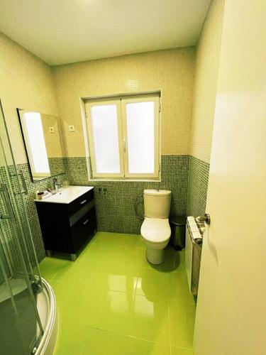 bagno verde con servizi igienici e lavandino di Leon Suites 4 - Enjoy Leon - Disfruta Leon a León