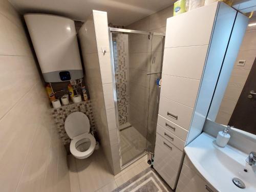 シオーフォクにあるEzüstpart apartmanのバスルーム(シャワー、トイレ、シンク付)