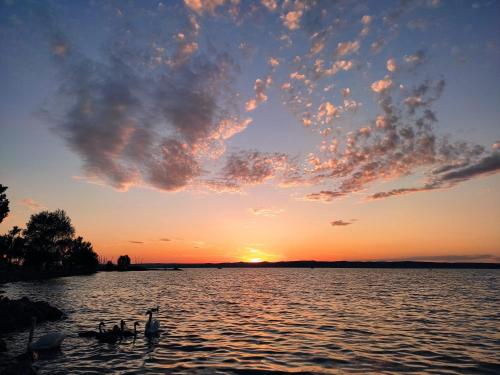 シオーフォクにあるEzüstpart apartmanの白鳥の水中の湖夕日
