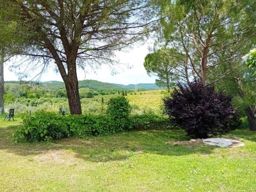 a park with a tree and a bench in the grass at Borgo de' Muracci in Ribolla