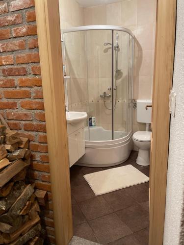 Un baño con ducha de cristal y un inodoro. en Moonica Rujiste, en Mostar