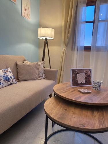 a living room with a couch and a table with a laptop on it at Oxo Kamara Apartment in Karpathos Town