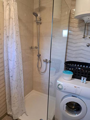a shower with a glass door next to a washing machine at Villa Antonio in Jelsa