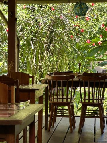 eine Terrasse mit Tischen und Stühlen und ein Baum mit roten Blumen in der Unterkunft Pousada Horizonte Azul in Ilha de Boipeba