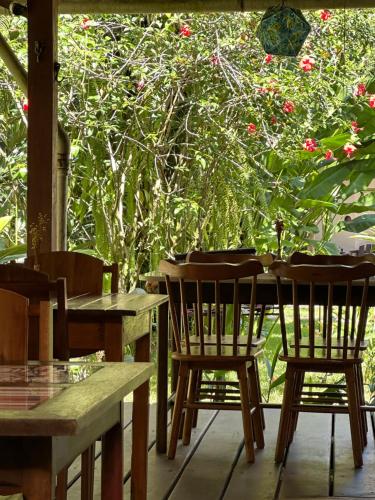 um pátio com mesas e cadeiras e uma árvore com flores vermelhas em Pousada Horizonte Azul na Ilha de Boipeba