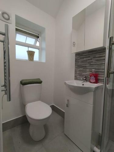 a white bathroom with a toilet and a sink at Charming Studio Flat with Parking in Enfield