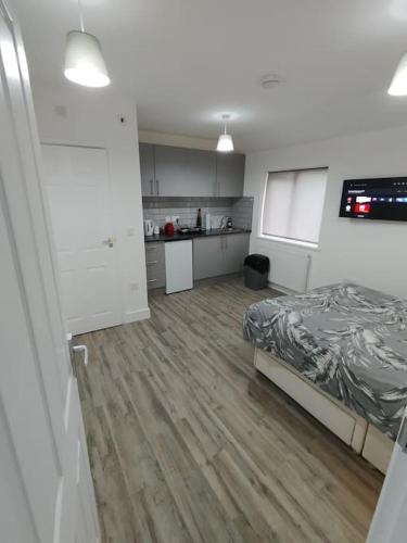 una grande camera con letto e cucina di Charming Studio Flat with Parking a Enfield