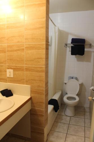 a bathroom with a toilet and a sink and a shower at Esterhazy Motor Hotel in Esterhazy