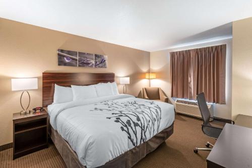 a hotel room with a large bed and a desk at Sleep Inn & Suites Denver International Airport in Denver