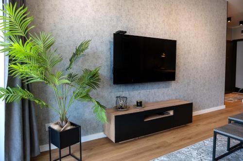 Apartament Szmaragd SPAにあるテレビまたはエンターテインメントセンター