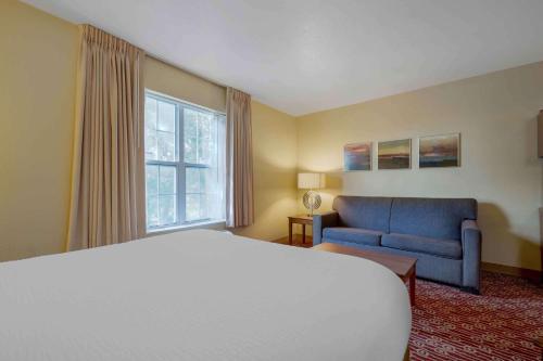 Habitación de hotel con cama y sofá azul en Extended Stay America Suites - Chicago - Elgin - West Dundee, en West Dundee