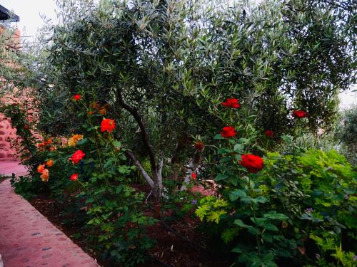 Gallery image of House of dreams bin el ouidane in Bine el Ouidane