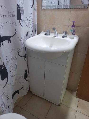 a bathroom with a white sink and a shower curtain at Depto Luminoso 1 Dormitorio para 2 con Patio in Rosario