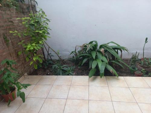 a patio with some plants and a wall at Depto Luminoso 1 Dormitorio para 2 con Patio in Rosario