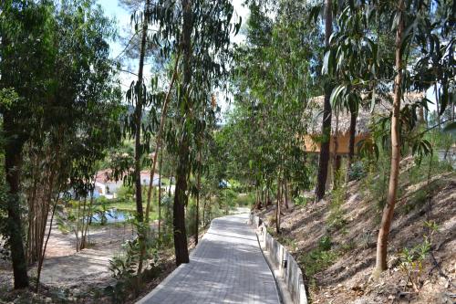 a wooden path through a forest of trees at MountView in Alenquer