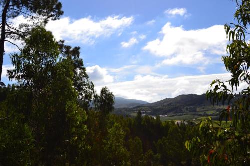 a view of the mountains from behind trees at MountView in Alenquer