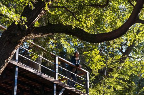 a woman sitting on a stairs under a tree at Los Ñires Ushuaia in Ushuaia