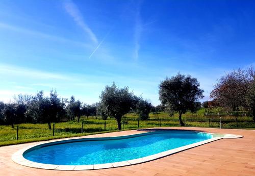 a small swimming pool in a field with trees at Oliveira Country House in Figueira e Barros