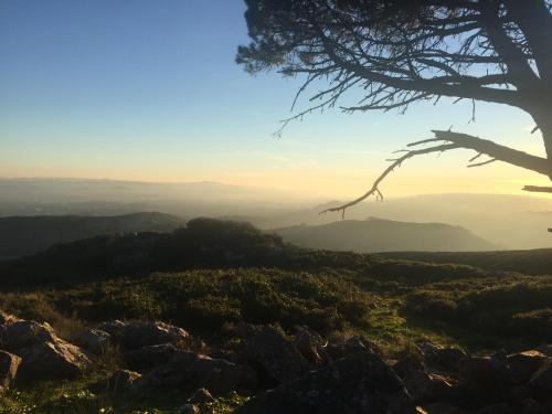 a view from the top of a mountain with a tree at MountView in Alenquer