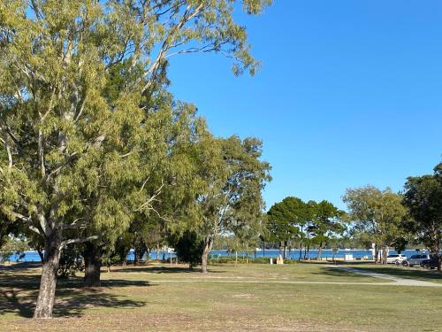 a group of trees in a park on a sunny day at Sylvan Seas in Bellara